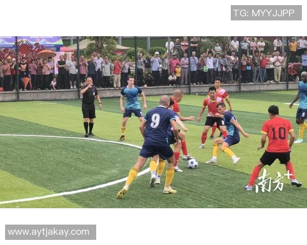 比利时足球赛精彩回顾与未来展望球迷热情不减的背后故事