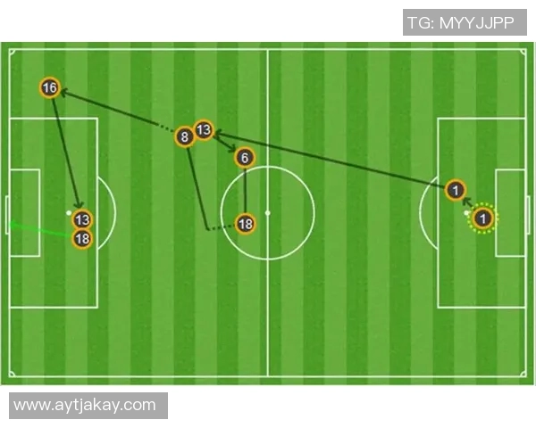 巴西与荷兰的足球对决历史回顾与战术分析